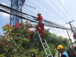 Wujudkan Layanan Terbaik, PLN Icon Plus Terus Lakukan Penataan Kabel Fiber Optik
