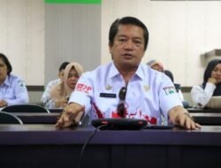 Ikuti Webinar ASN Kreatif Seri ke-34, Kepala Dinas Kesehatan Sulbar Ajak Masyarakat Aktif dalam Pencegahan dan Penanganan Stunting