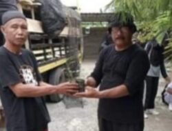 Pemprov Sulbar Bagikan 865 Ribu Bibit Cabai untuk Enam Kabupaten