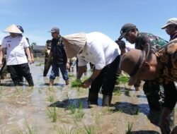 Saksikan Gerakan Menanam Serentak dengan Presiden Prabowo, Appi Turun Tanam Padi Bareng Warga 