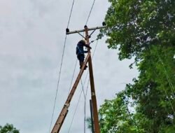 Koneksi Kuat PLN Icon Plus di Musim Pancaroba Tetap Setia Mendukung Kenyamanan Komunikasi Pelanggan