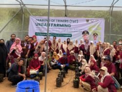 Regenerasi Petani Muda di Kota: Urban Farming dan Gerakan Tanami Tanata’ Dorong Ketahanan Pangan Makassar