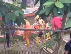 Wajo Geger, Perempuan 58 Tahun Ditemukan Tewas Membusuk dalam Rumah